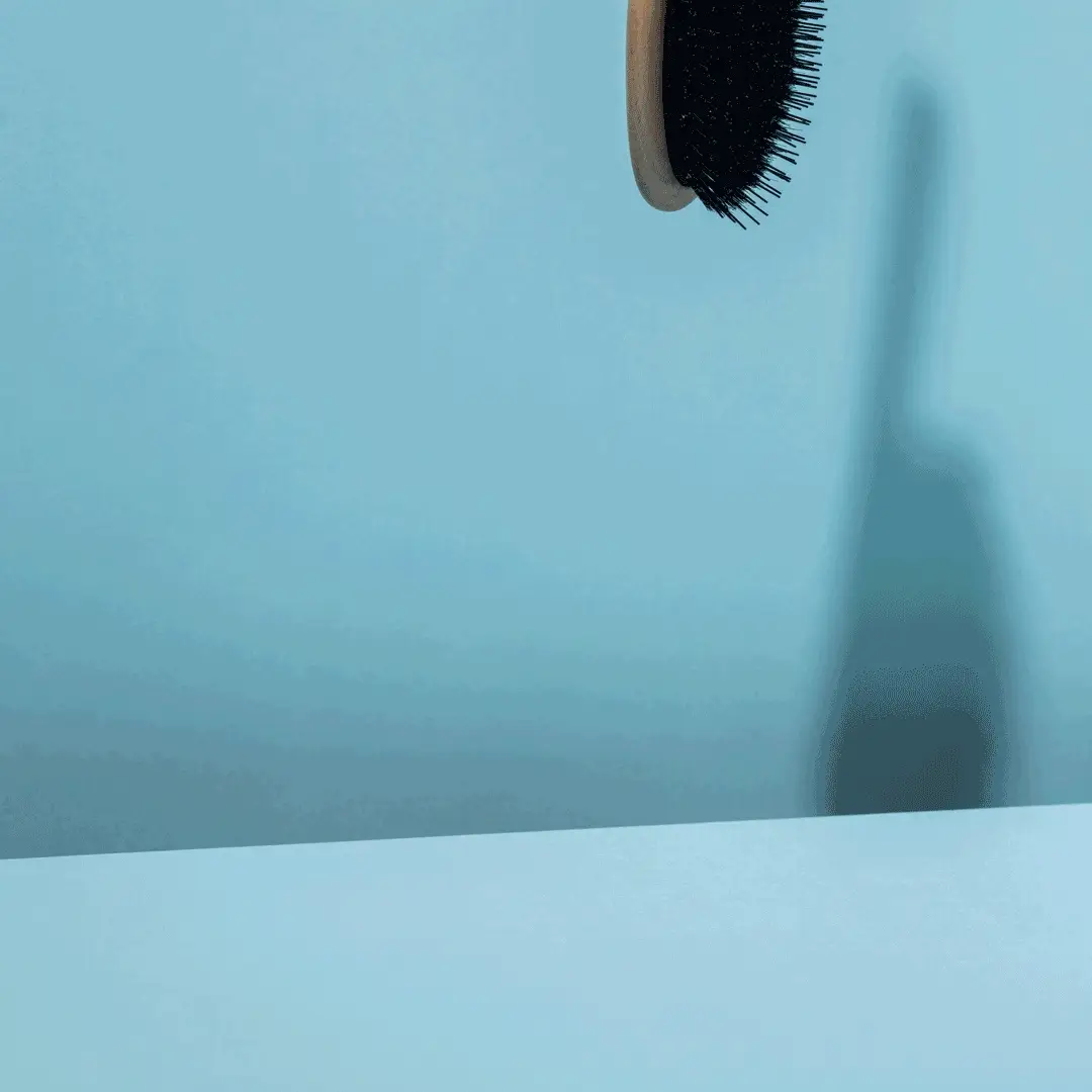 Brush Duo - Image 4